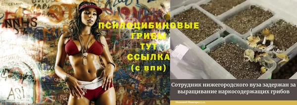 мет Чита