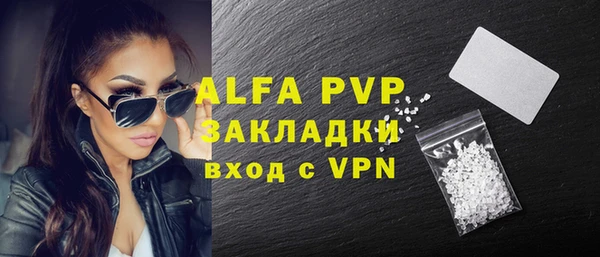 индика Лихославль