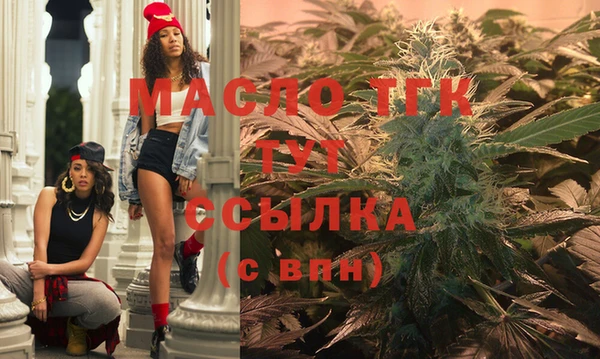 хмурый Ладушкин