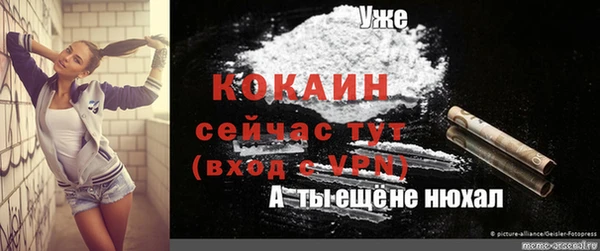 индика Лихославль